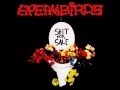 Spermbirds - You're Not Perfect 