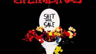 Spermbirds - You're Not Perfect