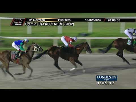 230218 c09 BETTER ZIP (BRZ)