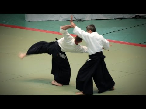 Aikikai Aikido - Seki Shoji Shihan - 54th All Japan Aikido Demonstration (2016)