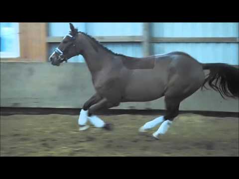 3,5j Wallach v. Stolzenberg