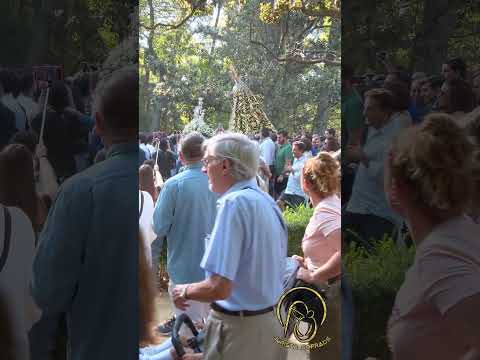 Cómo le cantan los pajaritos del Parque de María Luisa a la Madre de Dios 🥹A la Esperanza 💚🕊️