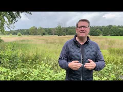 Folge 15: Feedback geben und nehmen