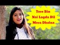 Tere Bin Nai Lagda Dil Mera Dholna Hindi Latest HD Status Video