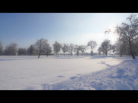 Snowfalls with LRTimelapse 5.5.6. but without LR6 :( no idea how it works together