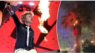 Breaking News , Coachella ritual, la palma