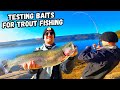 Shore Fishing Big Bear Lake for BIG Trout | Bites on EVERY CAST!
