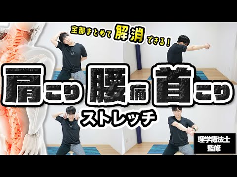 首・肩まわりの負担をやわらげる座位ストレッチ プレビュー