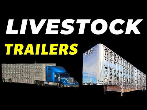 Livestock Trailers Coming to ATS with Wyoming DLC | Latest Wyoming News - Farms & Agriculture