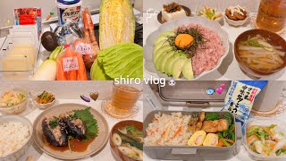 【食費月一万円の現実】一人暮らし5日間のごはんとお弁当👩‍🦰🍙｜買い物節約のヒント＆野菜長持ち保存🤫🥕