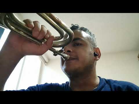 Tres de Diana (CORNETA)