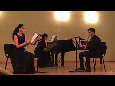 Franz & Karl Doppler -Hungarian Phantasy op35 for two flute and piano - Introduzione