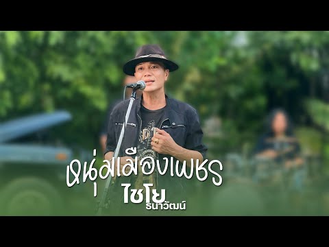 หนุ่มเมืองเพชร - ไชโย ธนาวัฒน์ (live session)