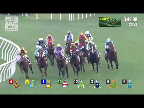 港經佬賽事重溫｜18-12-2021 田草日馬第九場賽事重溫 (269)｜浪漫勇士 R.W (E486)｜莫雷拉 J Moreira｜沈集成 C S Shum｜免費心水及賽馬貼士