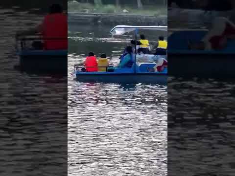 4 cum 6 seater FRP  Paddle Boat