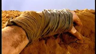 Cathedral Stained Glass Horizon