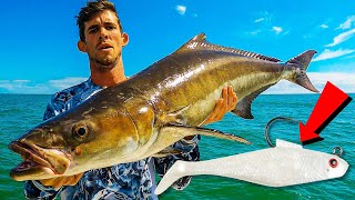 GET PAID to CATCH FISH - Catch and Sell Cobia!