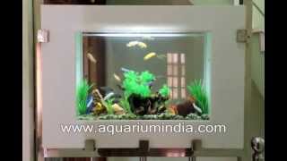preview picture of video '2.5ft chiclid wall mounted aquarium by www.aquariumindia.com'
