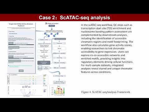 iMeta | Comprehensive analysis of multi-omics single-cell data using the single-cell analyst