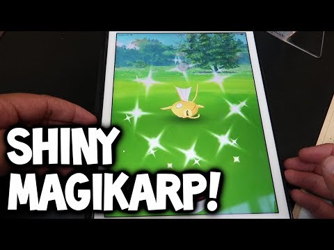 SUPER RARE CATCHES & SHINY?! - Pokémon GO Top-Down View Gameplay (Pokémon GO Safari Zone Denmark) Video