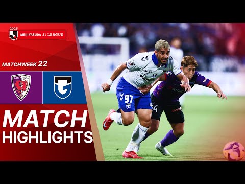 bg-highlight