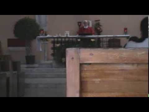 Homilia del día 12/11/2013 oficiada por el Pbro. José Eduardo