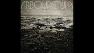 08  Coming Out of the Fog   ARBOURETUM