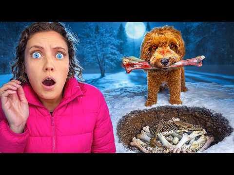 My Possessed DOG FOUND Something in the BACKYARD!