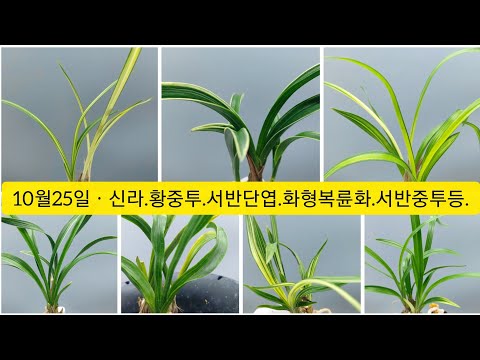유튜브 썸네일