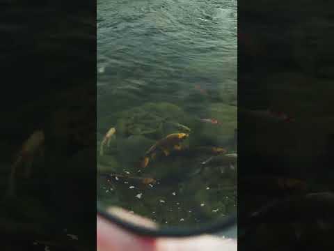 The Benefit of Polarizing!