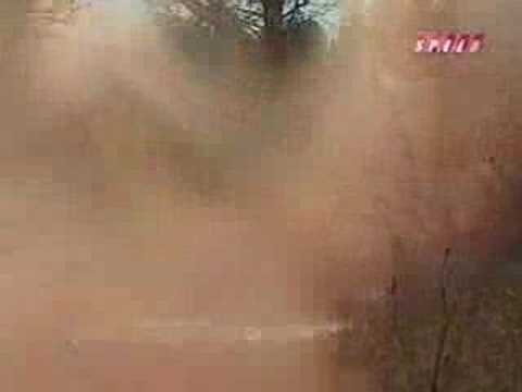 LS7 Battlers - Split wigs