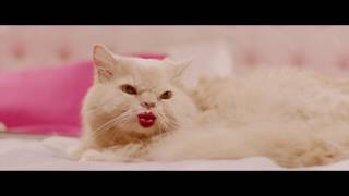 Carlas Dreams   Dragostea din Plic