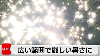 16日も全国で35度以上の猛暑日続発か　東京都心は9時半ごろ30度を超える暑さ