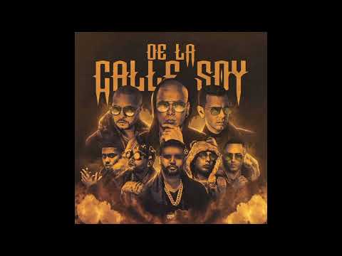 Wisin, Yandel, Don Omar, Tito El Bambino, Zion, Tempo, Ñengo Flow & Myke Towers - De la Calle Soy