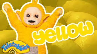 The Colour Yellow! | Toddler Learning | Grow with the Teletubbies