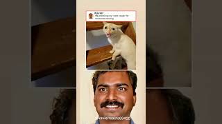 Xavier reacts ⁠#memes