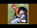 Camel - Curiosity