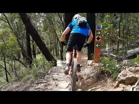 Warburton MTBing | HEY HEY MY MY | Mind Crusher