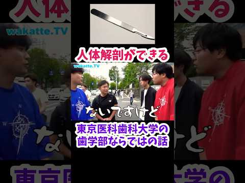 【人体解剖できる】医科歯科の歯学部ならではの【wakatte.TV切り抜き】#wakattetv #東京医科歯科大学 #歯学部 #shorts