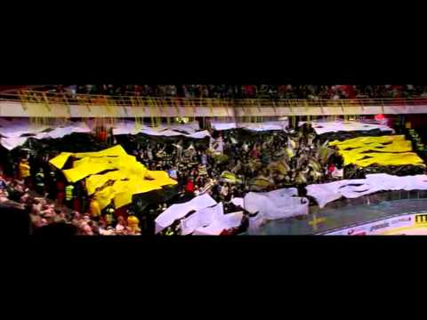 AIK 5 - 0 Djurgårdens IF - We make history