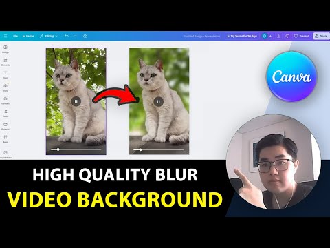 How To Blur Videos Background in Canva - My own solution!
