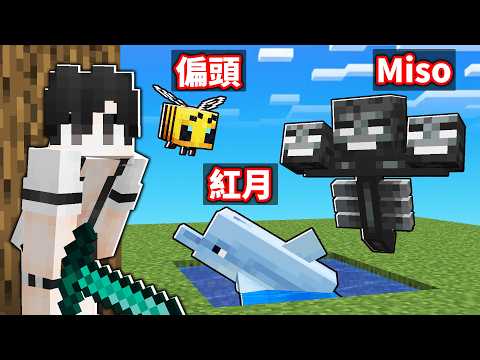 我們玩動物變身躲貓貓！