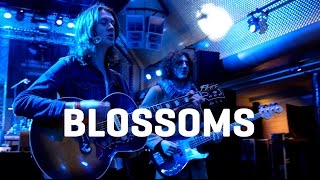 Blossoms - Blown Rose - Acoustique (Eurosonic 2016)