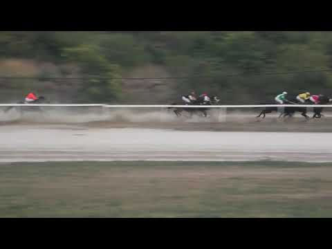 Trka "Express" 22.09.2019 Four Fifty Three - Miloš Milojević