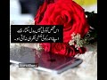 Beautiful Line WhatsApp Status