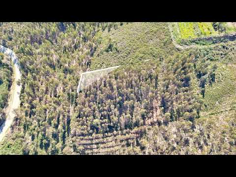 Terreno - Codeçoso, Celorico de Basto