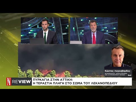 Πυρκαγιά στην Αττική: Η τεράστια πληγή στο σώμα του λεκανοπεδίου