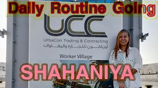 UCC Company Shahaniya Office & UCC Labor Camp
