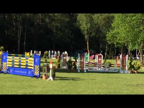 4 jähr. Holsteiner Hengst v. Nerrado x Acodetto x Acobat