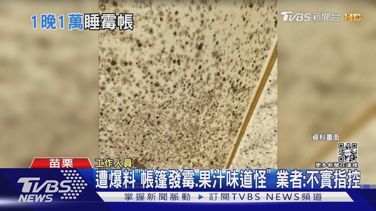 懶人露營區帳篷、枕頭套發霉? 網友:8人近1萬